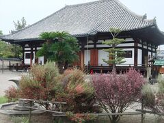 この日は西大寺駅から「平城京跡」を通過して海龍王寺→法華寺と回りました。