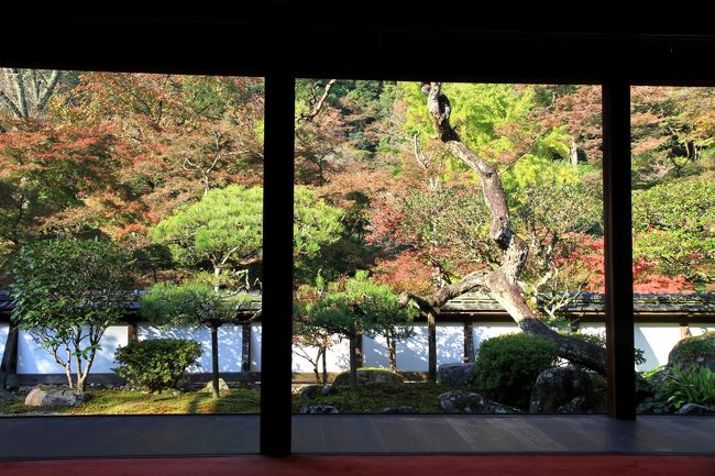 正暦寺　福寿院 借景庭園