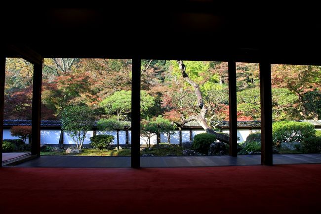 正暦寺　福寿院 借景庭園