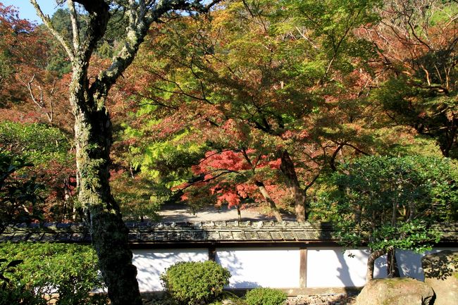 正暦寺　福寿院 借景庭園