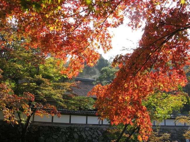 正暦寺　福寿院 借景庭園