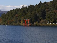 箱根神社の鳥居