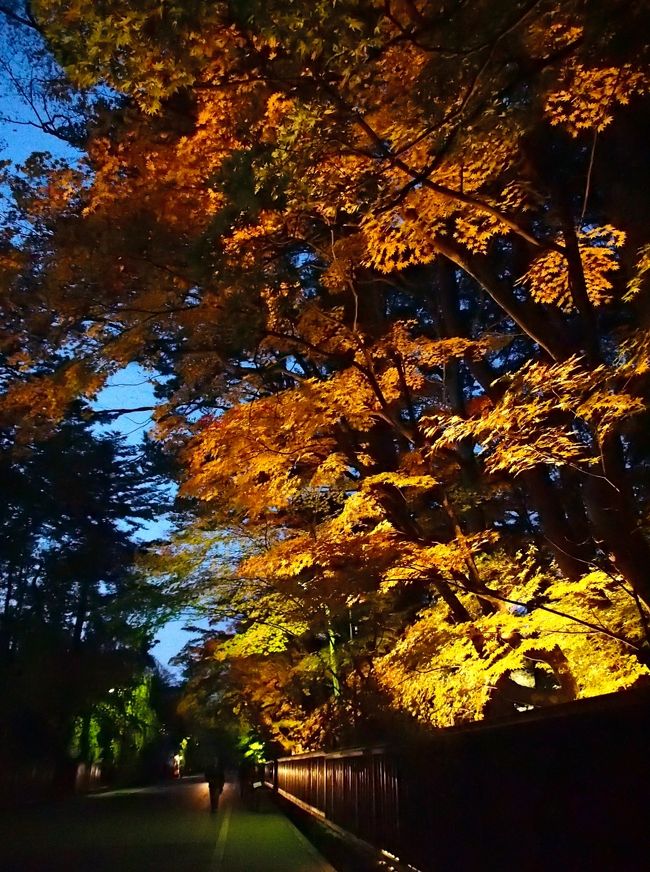 桜だけじゃない！美しすぎる～！錦繍に彩られた武家屋敷 ☆秋田県