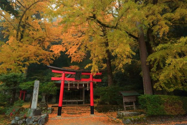 京都　紅葉めぐり～岩戸落葉神社、常照皇寺