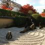 紅葉の京都10庭園巡り