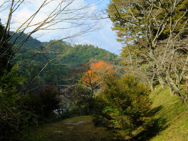 山道を、、上り、、
