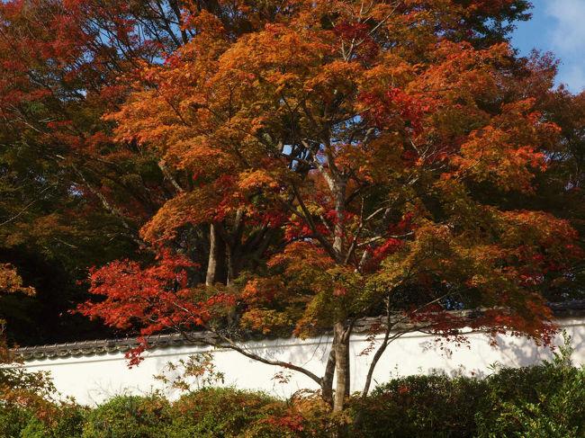 紅葉の時期は幾分過ぎたような気配