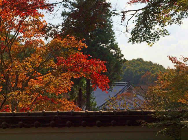 本堂をでて<br /><br />　境内を散策<br /><br />　　紅葉