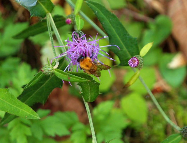 山道を下りながら。。