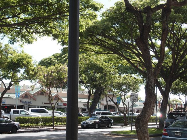 朝早いので人も少ない。