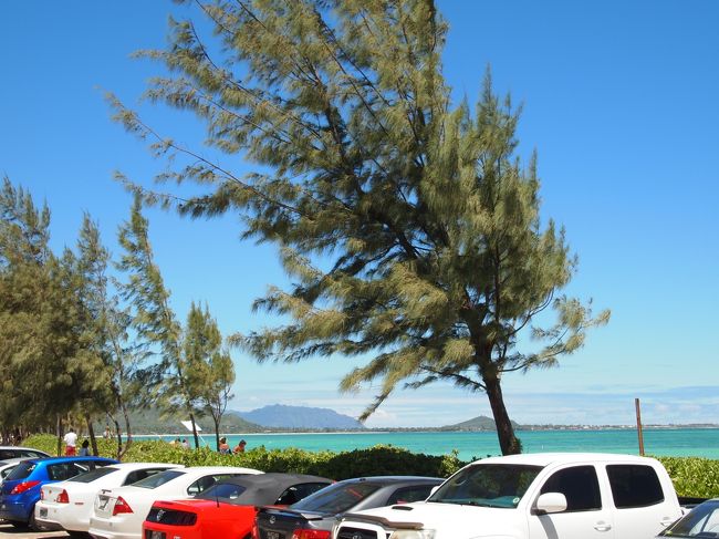 ラニカイビーチまで歩いていきたので、奥の駐車場に止めました。<br />地元のTV局か何かの撮影をしていて治安も良さそうだったので安心して車を置いて、いざ！ビーチへ。