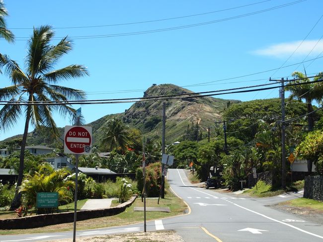 てくてくと歩いていきます。