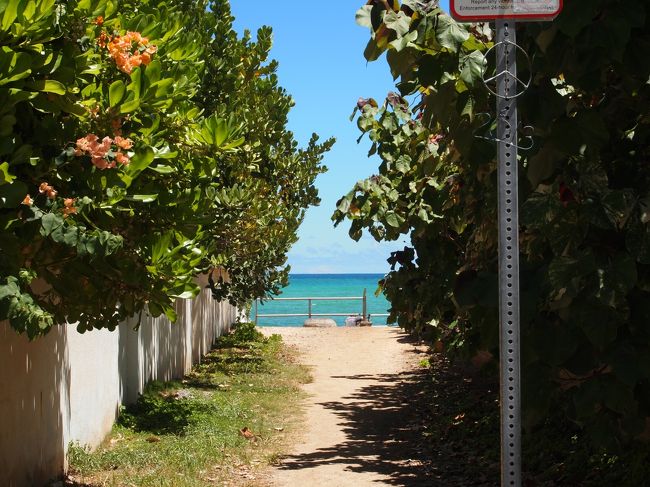 おっ！良く見る風景が。<br />でももっと奥に行かないと砂浜がないという情報があったのでもっと先に行くことに。。。