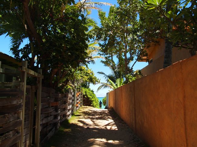 う〜ん、この辺から行ってみようか。