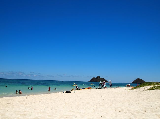 やっと着いたぁ。<br />でも人が多かった。有名だから仕方がない。