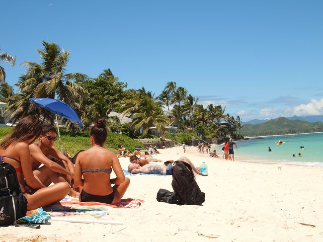 ロコ達もたくさん来てました。