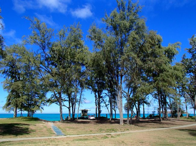 やってきました。ワイマナロビーチ。<br />本田直之さん、オススメのビーチ。<br />雰囲気がすっごくいい。