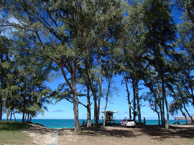 長くワイマナロでのんびりしたかったのに、この後、大変なことに。。<br />長男坊の大事なところが砂で擦れたのか、あそこが痛い痛い！と騒ぎ出し約２０分でワイマナロを後にしました。<br />