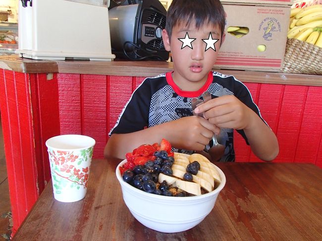 はじめてアサイーボウル食べたけど、あんなに美味しいとは。<br />もう一度食べたかったけど、今回の旅行では叶わず。<br /><br />さぁ、お腹いっぱいになったのでレンタカーでホテルへ向かうことに。<br /><br />アラワイ運河を走っていてこの辺かなっと曲がったところが何と一方通行の道路。路駐していたロコ達がビックリしてこっちを見てましたヽ(´Д`；)ﾉ<br />運良く対向車はいなかったので急いでUターン。<br /><br />あ〜Σ(ﾟдﾟlll)した。