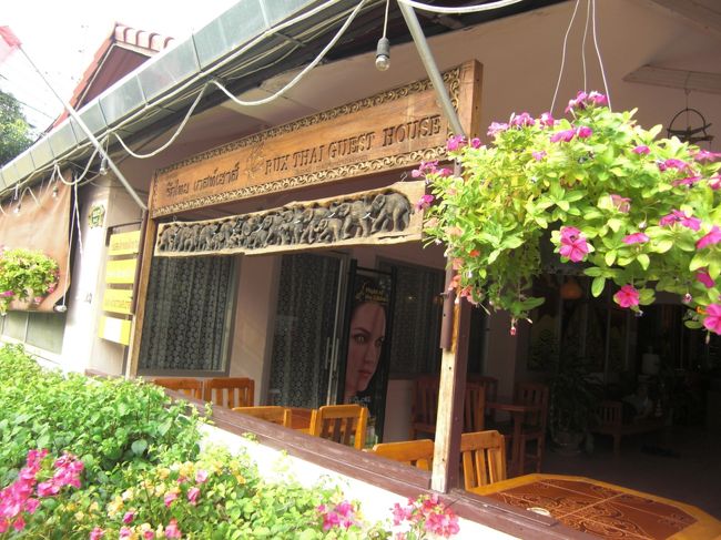 毎日お手入れしてるお花たち