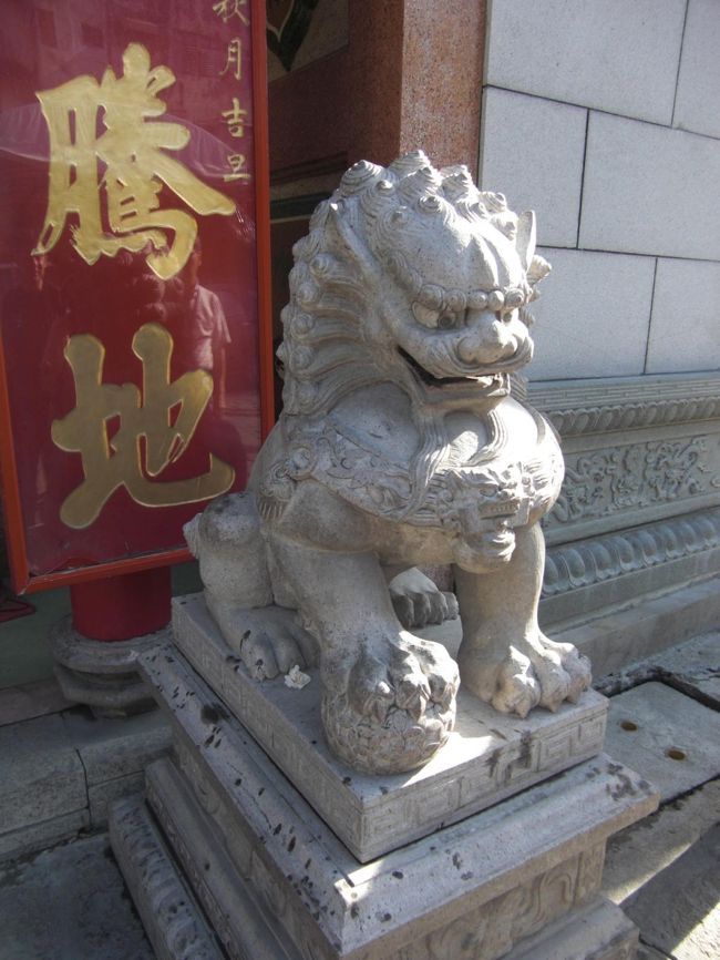 獅子舞の口の中に入ってる石ころ？を取れたら願いがかなうらしい