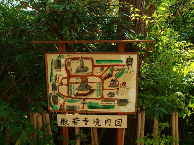 １１月になってるので<br /><br />　コスモスは無理と承知で<br /><br />　　訪れてみれば