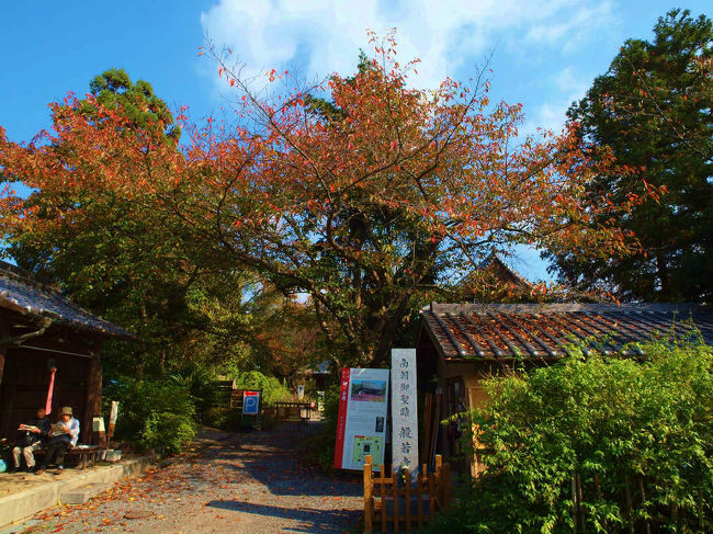 あまり期待はしていないのですが<br /><br />　２０年ほど前に夫婦できた思い出もあるので<br /><br />　　寄ってみれば。。