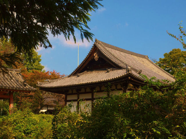 本堂付近から<br /><br />