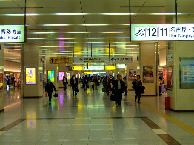 新幹線で東京へ<br /><br />　喜寿記念の思い出多い旅も<br /><br />　　　終了<br /><br />２０１３　奈良旅　全終了