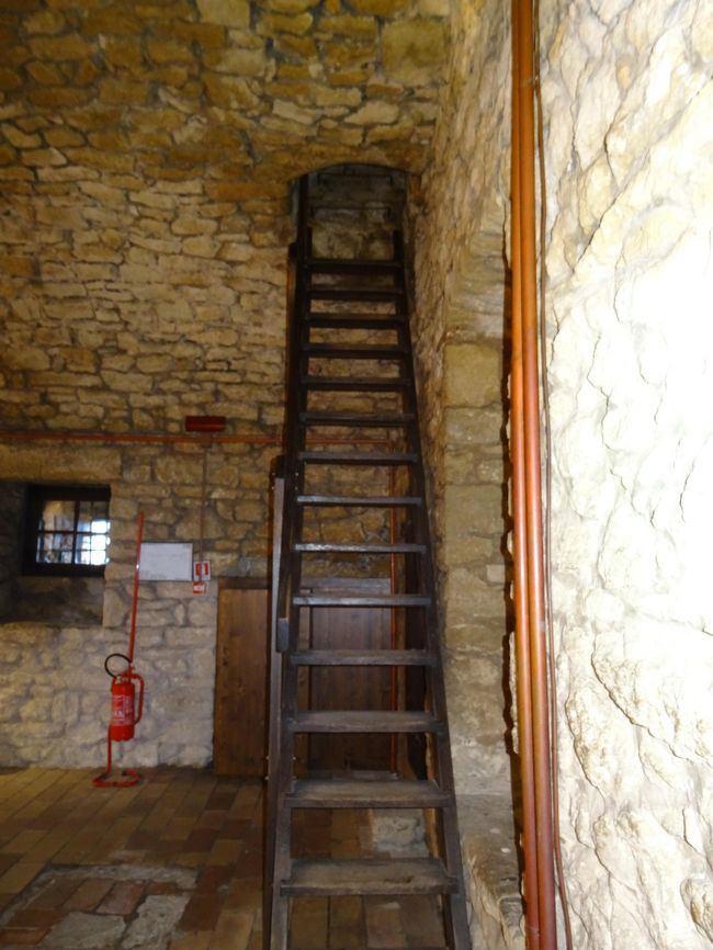 今度ははしごで登ります。