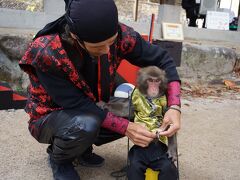 縁結びの橋「愛逢橋」を渡り終えたところにある
仁比山公園でお猿さんに出会いました。
まだ幼さが残るお猿さんでかわいかったー＾＾

公園からシャトルバスに乗り　臨時駐車場に戻って
一気に佐世保を目指しました。

