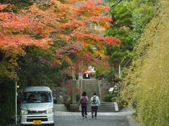 普通に住宅街を左、右、左と

教えられたとおりに進み無事見慣れた

海蔵寺前の紅葉道にたどり着いた。