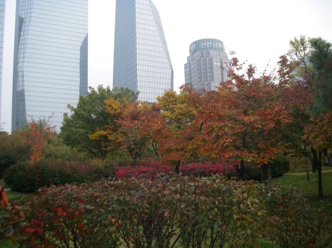 Yeoido Park　汝矣島公園　の紅葉<br /><br />前日走行後地下鉄で明洞へ行く途中に寄ってみたビル街の公園。散策、自転車、バスケなどActivityに興じる人多し。写真撮影位置はこの地図のYeoido Park のe の辺りかした向きに撮った感じ<br />（http://hangang.seoul.go.kr/eng/map/yeouido.htm）<br />準備中のこの一連の地図にアクセスしていたら、もっと確実だったのに、残念。<br />