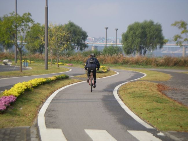 中央分離帯に花壇がある自転車道<br /><br />公園内の一部ではあるが、こういう道に感激し、撮影。