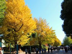 時刻は朝9：00を過ぎたところ。
上野へと向かう。

次なる目的地が、本日の真のターゲット：ゴビゴビ砂漠。
ゴビゴビ砂漠（ゴビ砂漠）で発掘された恐竜化石の企画展を開催している国立科学博物館へと向かう。

上野公園の銀杏並木もいい感じに色づいている。
それにしても、まだ午前中も早い時間なのに上野の人出ときたら…。
みなさん、どちらへ行くのだろう。