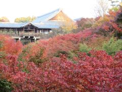 引き続き、お隣の駅（１つ京都寄り）の東福寺へ。

東福寺は初めて行きましたが、かなり多くの寺社が集まって東福寺エリアになっているイメージでした。

閉門１０分前に入ったので、慌てて紅葉を撮影。
もう少し早く来れば、いい撮影ポイントがあった模様です。
