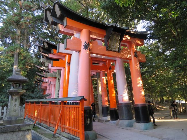 いざ、鳥居が立ち並ぶ場所へ！<br /><br />見ての通り、鳥居によって色あせていたり新しかったりします。<br />よく見ればサイズもばらばら。<br /><br />謎は後で解けました。