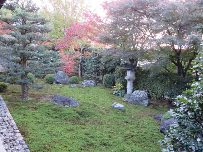 苔に覆われた枯山水の庭。<br /><br />音ひとつなく落ち着いた感じでした。