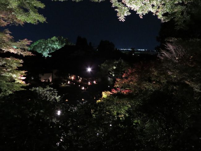 少し小高くなった場所（竹林の少し上）からは、眼下に京都の街と、青蓮院の建物を見下ろすことができます。