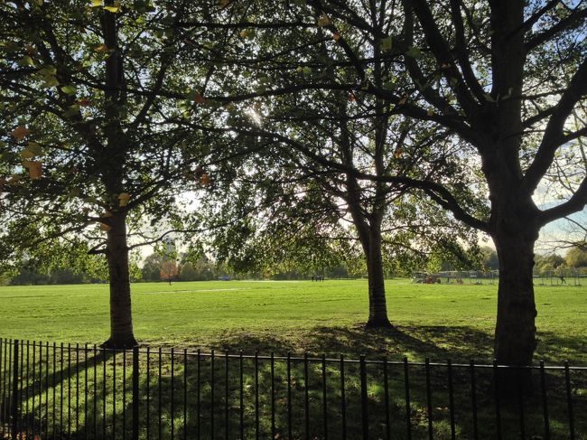 <br />　ロンドンの公園は本当に、素晴らしい！！
