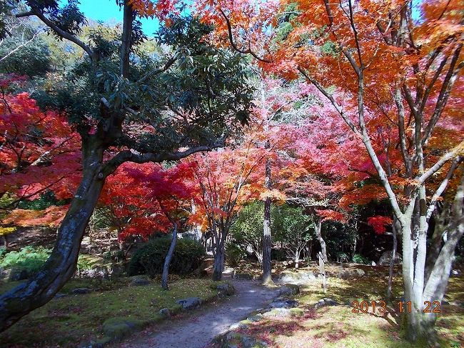 2013.11.22（金）龍野公園聚遠邸にて。