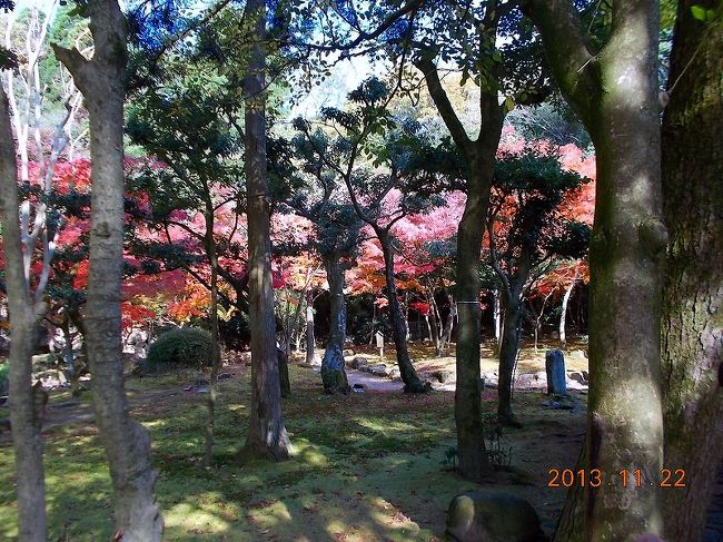 2013.11.22（金）龍野公園聚遠邸にて。