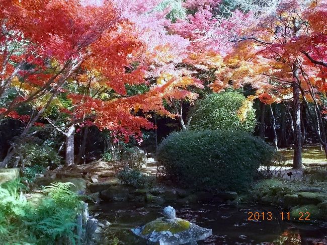 2013.11.22（金）龍野公園聚遠邸にて。