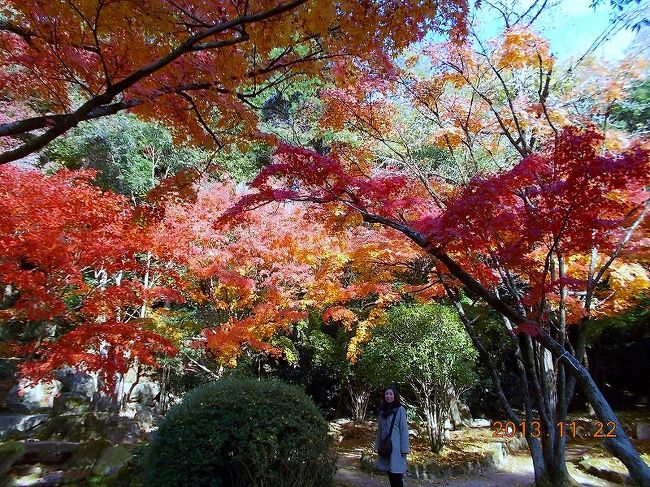 2013.11.22（金）龍野公園聚遠邸にて。