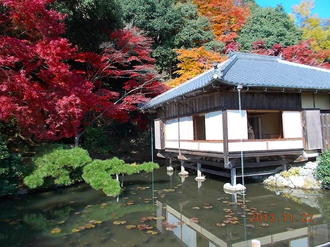 2013.11.22（金）龍野公園聚遠邸にて。