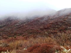 やっと霧が動いて星生山の山腹の紅葉がチラリと見えました。