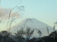 富士山も登場です。東京方面からは渋滞に巻き込まれ、予定よりかなり時間を要しました。途中迷ったりもしましたが、景色に和まされました。秋の箱根路は素敵です。