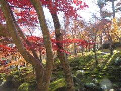 次は箱根美術館を訪れました。１１月は無休、紅葉が楽しめる時期ということでしょうかね。お抹茶付きの入場料を買いました。
