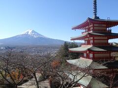 五重塔と富士山を一緒に写真におさめると
この景色が見たかったんです

