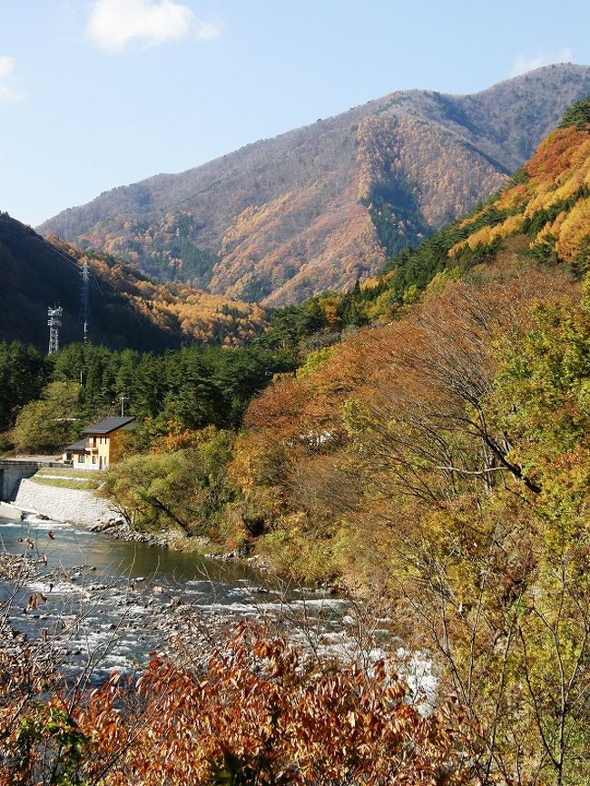 この辺の紅葉は丁度良いようです。